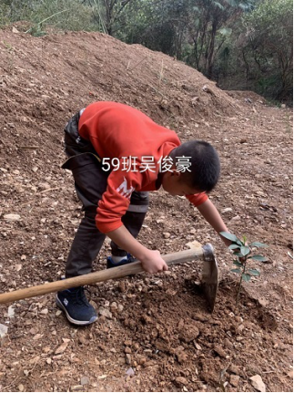 衡陽市蒸湘區(qū)仁愛實(shí)驗(yàn)中學(xué)|衡陽全日制|全寄宿|全封閉|半月假制初級(jí)中學(xué) 衡陽市蒸湘區(qū)仁愛實(shí)驗(yàn)中學(xué)|衡陽全日制|全寄宿|全封閉|半月假制初級(jí)中學(xué)