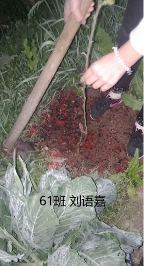 衡陽市蒸湘區(qū)仁愛實(shí)驗(yàn)中學(xué)|衡陽全日制|全寄宿|全封閉|半月假制初級(jí)中學(xué) 衡陽市蒸湘區(qū)仁愛實(shí)驗(yàn)中學(xué)|衡陽全日制|全寄宿|全封閉|半月假制初級(jí)中學(xué)