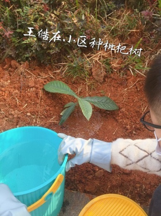 衡陽市蒸湘區(qū)仁愛實(shí)驗(yàn)中學(xué)|衡陽全日制|全寄宿|全封閉|半月假制初級(jí)中學(xué) 衡陽市蒸湘區(qū)仁愛實(shí)驗(yàn)中學(xué)|衡陽全日制|全寄宿|全封閉|半月假制初級(jí)中學(xué)